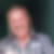 Profilbild von Harald Kaese
