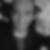Profilbild von Jens Iwer