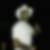 Profilbild von Sezgin Fuat