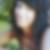 Profilbild von Saskia Drews