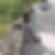 Profilbild von Wiebke Vesper