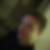 Profilbild von Christian Wlczek