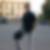 Profilbild von Kevin Schuster