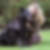 Profilbild von Birgit Hawlitzky