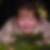 Profilbild von Corinna Hilbig