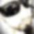Profilbild von Bernd Reuther