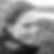 Profilbild von Alice Grümmer