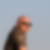 Profilbild von Thomas Sutter
