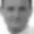 Profilbild von Peter Arndt