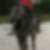Profilbild von Andrea Dieringer