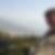 Profilbild von Peter Proft