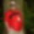 Profilbild von Rene Pinkert