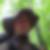 Profilbild von Thomas Gravert