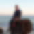 Profilbild von Alf Thiele