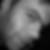 Profilbild von Timur Schipper