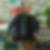 Profilbild von Hartmut Hoppach