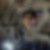 Profilbild von Johann H. Addicks