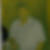Profilbild von Thomas Vogt