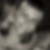 Profilbild von Sina Dietrich