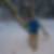Profilbild von Lars Nowok