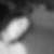 Profilbild von Sarah Bartling
