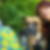 Profilbild von Judith Abraham
