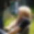 Profilbild von Torsten Monath