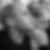 Profilbild von Robert Nousch
