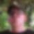 Profilbild von Christoph Weertz