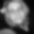 Profilbild von Ellen Hülser