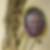 Profilbild von Paul Gerstner