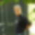 Profilbild von Michael Kuehn