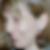 Profilbild von Eva Sahm