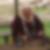 Profilbild von Peter Kolert