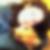 Profilbild von Stephanie Kennedy