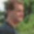 Profilbild von Jens de Boer