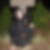 Profilbild von Katrin Bull