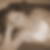 Profilbild von Saskia Rohner