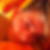 Profilbild von Susanne Stich