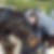 Profilbild von Grit Parlow