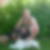 Profilbild von Ralph Kronschnabl