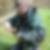 Profilbild von Norbert Weiss