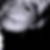 Profilbild von Anne Faber