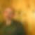Profilbild von Heiko Hering