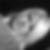Profilbild von Mandy Wahl