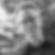 Profilbild von Robert Krokowski