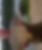 Profilbild von Bodo Utke