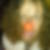 Profilbild von Sylvio Spann