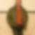 Profilbild von Thomas Krause