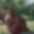 Profilbild von Thomas Dogor